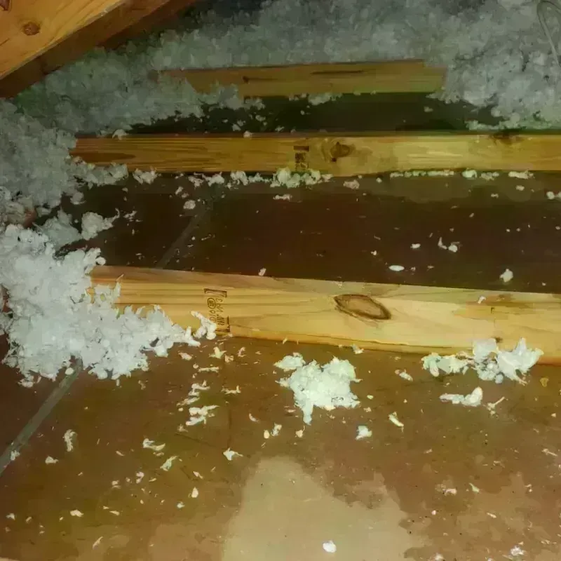 Attic Water Damage in Fort Bragg, NC